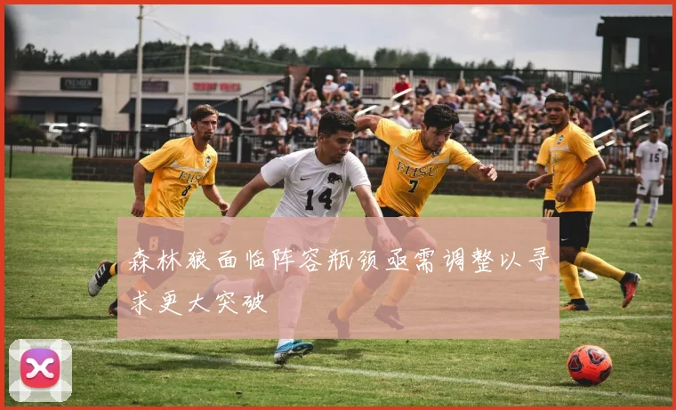 森林狼面临阵容瓶颈亟需调整以寻求更大突破